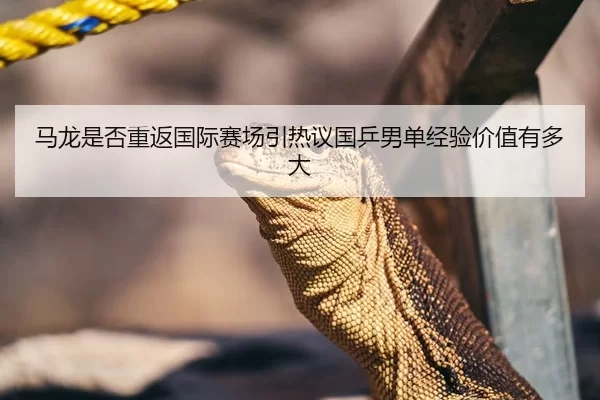 马龙是否重返国际赛场引热议国乒男单经验价值有多大