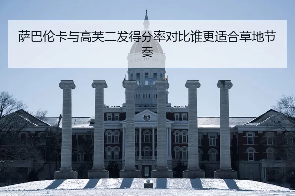 萨巴伦卡与高芙二发得分率对比谁更适合草地节奏