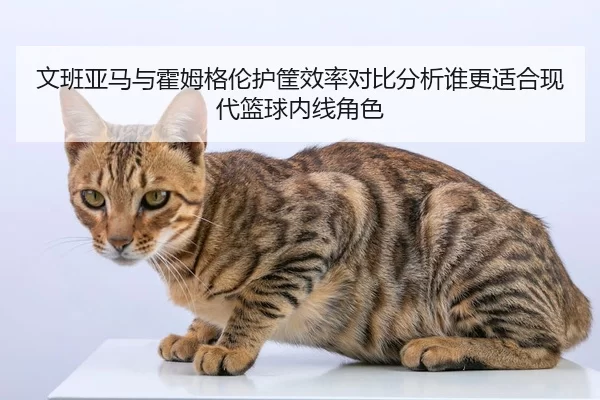 wen-ban-ya-ma-yu-huo-mu-ge-lun-hu-kuang-xiao-lv-dui-bi-fen-xi-shui-geng-shi-he-xian-dai-lan-qiu-nei-xian-jue-se-2-454.jpg