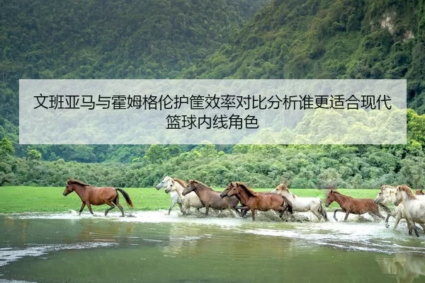 文班亚马与霍姆格伦护筐效率对比分析谁更适合现代篮球内线角色
